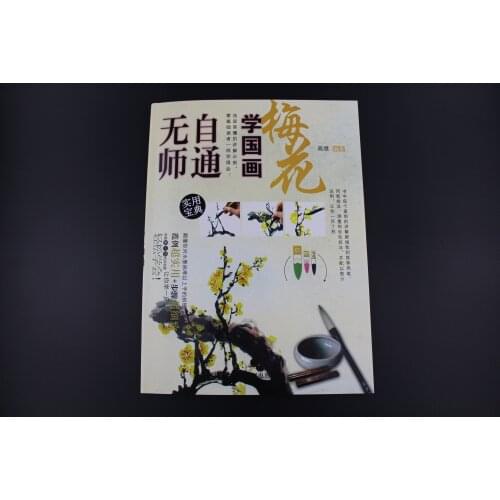 Self-Study Chinese Brush Ink Painting Sumi-e How To Draw Plum Blossom Books