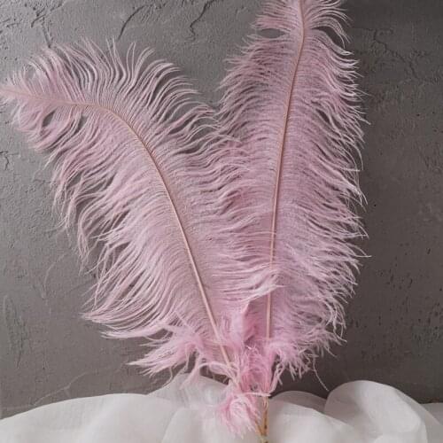 Dried flower Large Pink Feathers Eternal DIY Material pink party decorations valentin luxury home decor Party INS