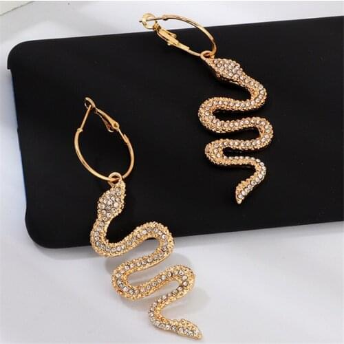Blaike Statement Punk Snake Dangle Earrings Party Band Hip-Hop Jewelry Gifts for Men Women Free Shipping