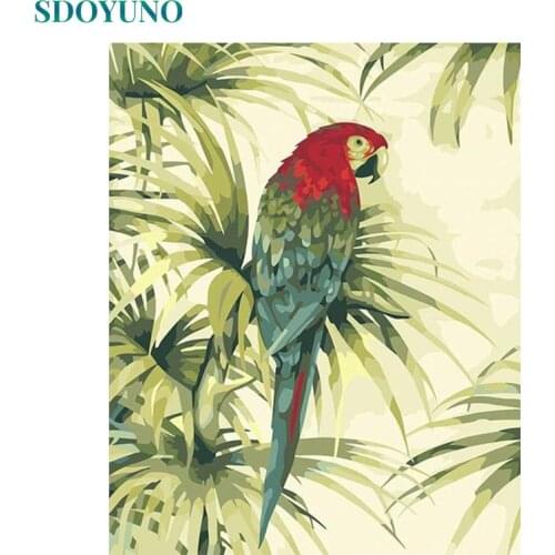 SDOYUNO 60X75cm Frame Coloured Flying Parrot Painting By Numbers DIY Paint By Numbers For Adults Wall Decor Canvas Painting