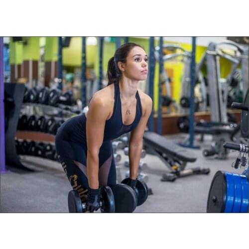 Gym Girl Workout Muscle Fitness ART SILK POSTER Decorative Wall painting 24x36inch