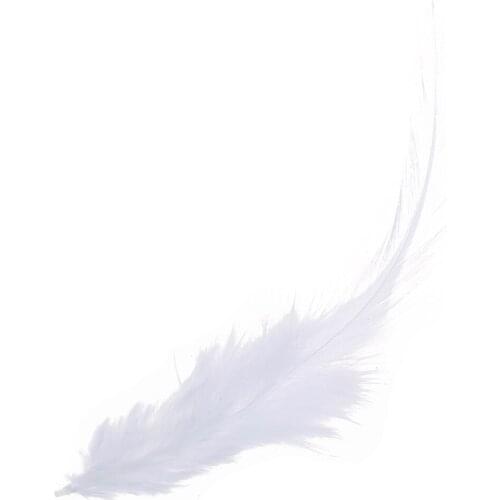 50 St. dyed rooster feathers for decoration 10 -15 cm - white