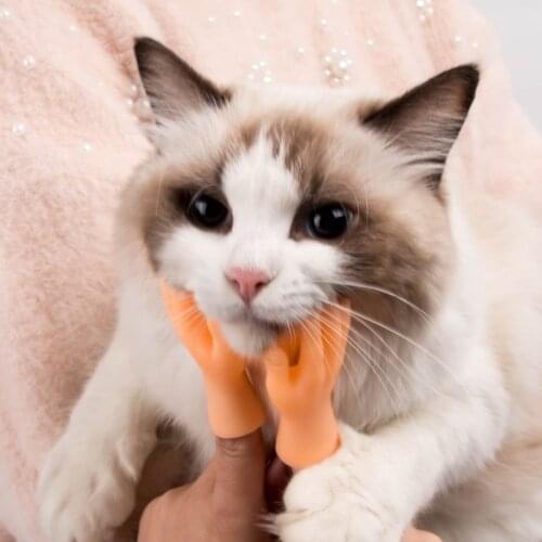 1pair Cat Funny Massage Little Finger Gloves,High Simulation Finger Cover, Rubber Finger Set for Massaging and Feeding Cat