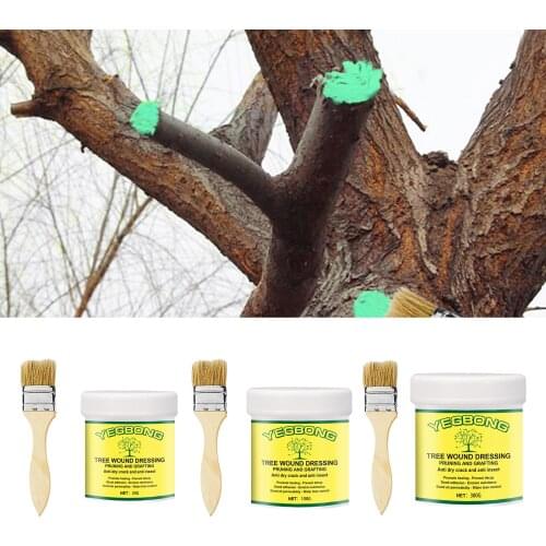 Tree Wound Sealer Branches Grafting Treatment Cream Smear Heal Sealing Brush