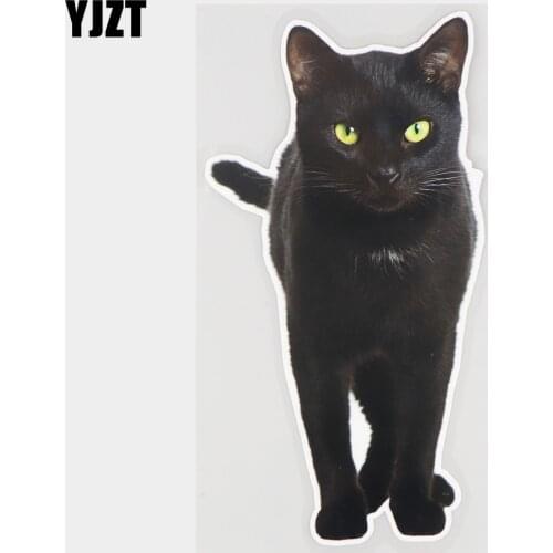YJZT 10.5×20CM Black Cat Watching Animal Cartoon Car Stickers Funny Body Decoration Accessories 21A-0172