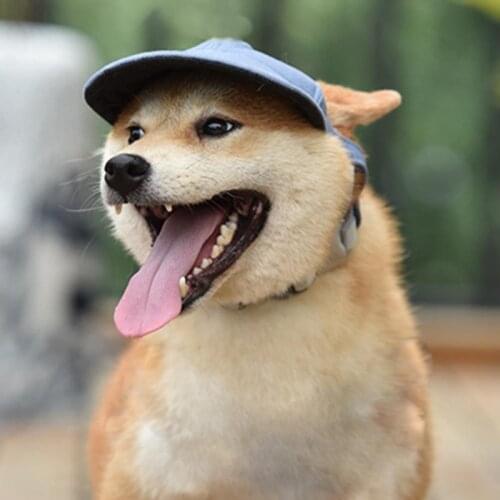 Cute Summer Pet Dog Hat Cap Outdoor Dog Baseball Cap Canvas Small Dog Sunscreen Accessories Fashion Hiking Pet Products S M L