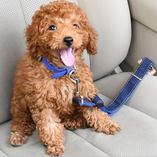 Dog Leash Powerful Traction Denim Leash Car-Mounted Features Comfortable Filling Handles Adjustable Traction Ropes