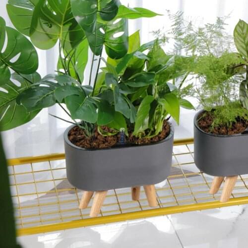 Plastic Plant Holder Fadeless Durable Hydroponic Beautiful No Burrs Flower Holder Heighten for Garden