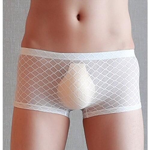 Men Transparent Mesh Underwshnet Erotic Panties Mans Breathable Quick Dry Underpant Male U Convex Boxer Briefs