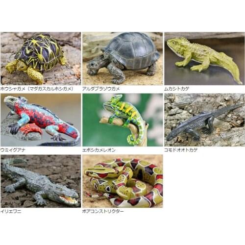 Pvc figures Animal model simulation toys wild reptile lizard crocodile Guiyi 8pcs/set