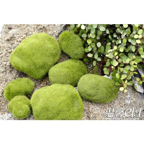 1pcs/lot Simulation Of Bryophyte Stone Moss Flocking False Lawn Micro Landscape Decoration Accessories