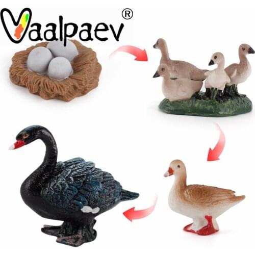 Growth Cycle Mircle Turtles Goose Egg Snake Insect Animals Simulation Action Figures Modles Collection Educational Toys For Kids