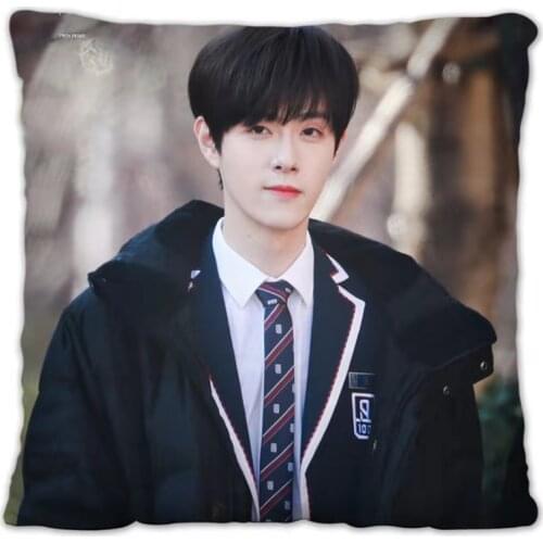 Youth Has You Wang Zhe Pillowcase Pretty Scholar Yu Lexuan Same Paragraph Star Photo Poster Cushion Cover Souvenir Home Decor