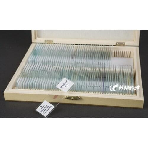 200 different kinds of microscope slide animal cell slide biology experiment tools