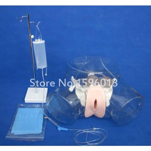 Curettage and Dilatation Training Simulator,Catheterization Simulator,Artificial Abortion Model