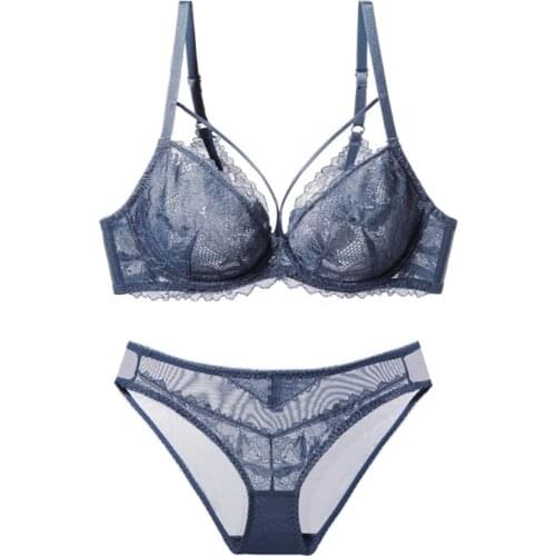 New Blue Sexy Lingerie Bra And Panty Sets For Women Plus Size No Padded Transparent Bras Female Lace Underwear Set A B C D E Cup