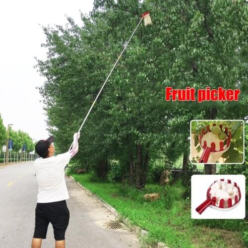 2019 Pruning Tools Orange Fruit Pick Head Portable Outside for Without Pole Drop Shipping