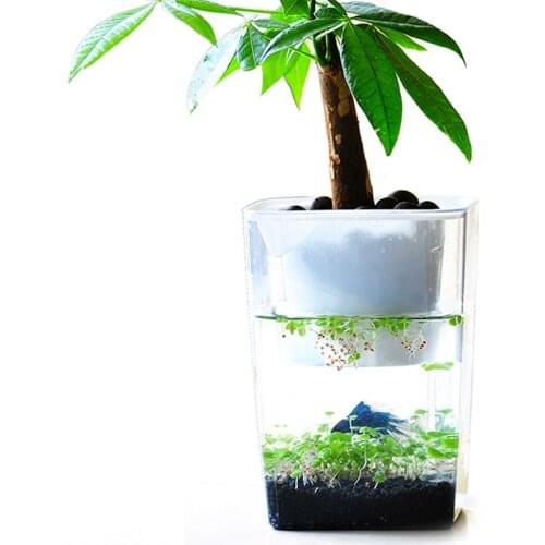 Anti-fall Fish Vegetables Symbiotic Water Grass Desktop Mini Fish Tank Ecological Plastic Convenient Fish Tank Grows Plants
