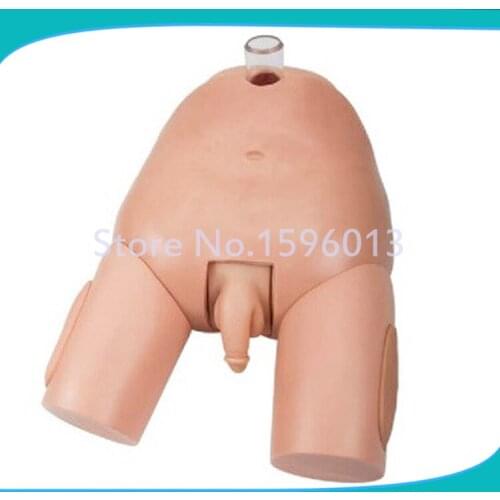 Advanced Male Bladder Puncture Simulator, Vesicopuncture Training Model