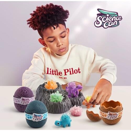 DIY PILOT PLANT Science Can Childrens Scientific and Educational Toys Dinosaur Seris The Crystal Growth Steam 4-8y Boy Present