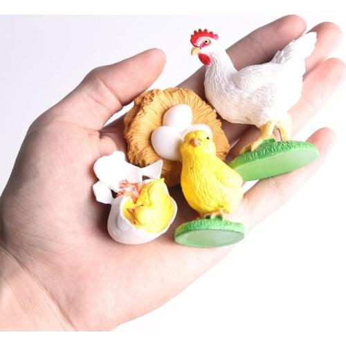 Kids Plant Seeds Growth Life Cycle Playset Cognitive Toys Teaching Aids Educational Toys Montessori Teaching Aids