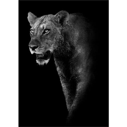 Kexinzu 5D DIY Full Square/Round Diamond Painting"Black White Animal" Embroidery Cross Stitch handcraft work Home Decor Gift 016