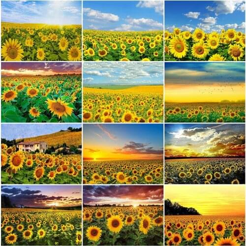 MomoArt 5D Diamond Embroidery Flower Picture Of Rhinestones Diamond Painting Sunflower Cross Stitch Mosaic Full Square Wall Art