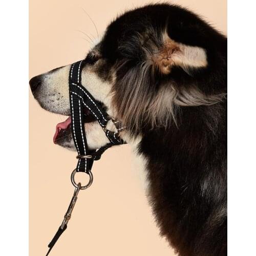 Reflectable Nylon Dog Muzzle Double Adjustable Release Strap for Puppy Small Medium Large Dogs