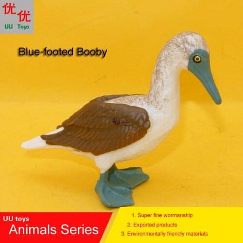 Hot toys:Blue-footed Booby bird simulation model Animals kids toys children educational props