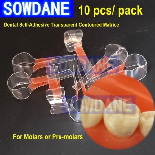 Dental Self-Adhesive Transparent Sectional Contoured Matrix Twin Anterior Matrice Matrix for Premolar Molars Polyester Matrices