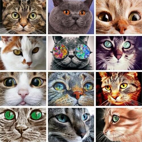 Evershine 5D Diamond Embroidery Cats Diamond Painting Full Square Animals Rhinestones Pictures Mosaic Crafts Kit Home Decor