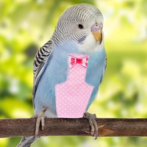 Color Wave Point Bird Diaper Polyester Parrot Pigeon Cute Bow-knot Clothes Cockatiel Pilot Clothing Pet Bird Accessories