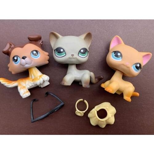 Pets Shorthair and Collie 3pcs Collie 58 391 339 Gray and Yellow Cats Dogs with Accessories Glasses Skirts Kids Gift