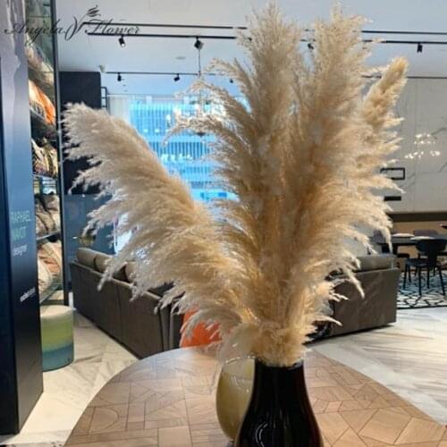 20 PCS Reed Dried Flower Pink Pampas Grass Plants Artificial Flower Wholesalers Wedding Floor Decor Flower Arrangement Materials