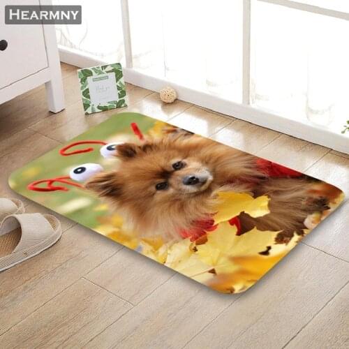 HEARMNY New Arrival Doormat Pomeranian Home Mat Machine Made Anti Slip Carpet Living Room/Hallway Bath Mat For Kids Gift