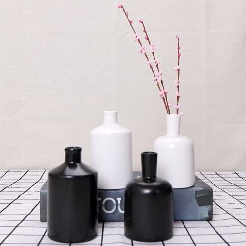Ceramic Vase Small Fresh and Simple Modern Home Living Room Table Table Flowers Water Culture Plug Flower Flower Black White