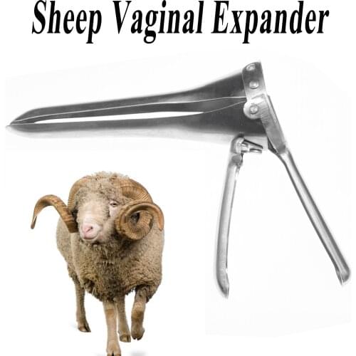 1PCS Sheep Goat Vagina Ewe Opener Expander Carbon Steel Artificial Insemination Examine Uterus Tools Farming Animal Veterinary