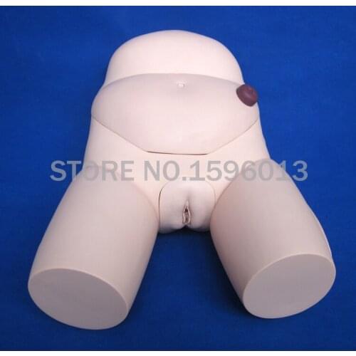 Flexible Female Catheterization Simulator,Urethral Catheterization trainer with IM Injection Teaching