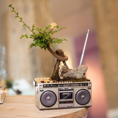 Plant Pot Indoor Decor Planter Flower Succulent Cactus Pot Planter Gift