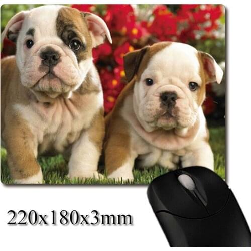 Two cute baby english bulldog Puppies printed Heavy weaving anti-slip rubber pad office mouse pad Coaster Party favor gifts