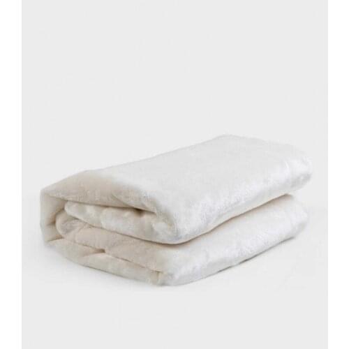 Wellsoft Plush Cream Baby Blanket