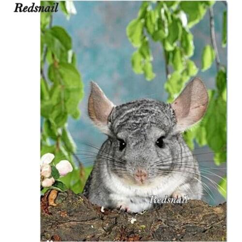 5d Diy Diamond Painting Chinchilla lanigera Molina Handcraft Diamond Embroidery Diamond Mosaic Resin Round Square Drill EE266