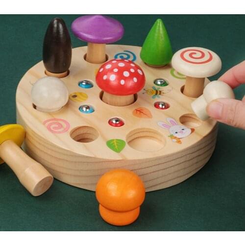 JaheerToy Magnetic Montessori Teaching Aids Toys for Children Game of Picking Mushrooms and Catching Insects Toy for Kids 345