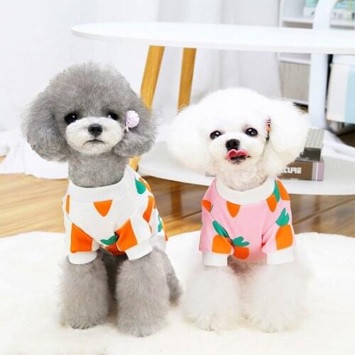 2022 Dog Hoodie Spring Autumn Winter Dog Clothes Coat Shirt Puppy Outfit Costumes Yorkshire Pomeranian Poodle Bichon Clothing