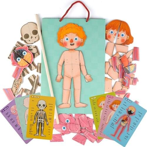 Childrens Character Body Structure Puzzle Enlightenment Early Education Montessori Magnetic Educational Learning Toy