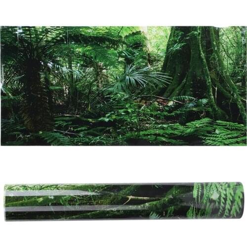 1PC PVC Reptile Box Rainforest Background Poster Fish Tank Wall Picture Painting Decoration Self Adhesive Sticker