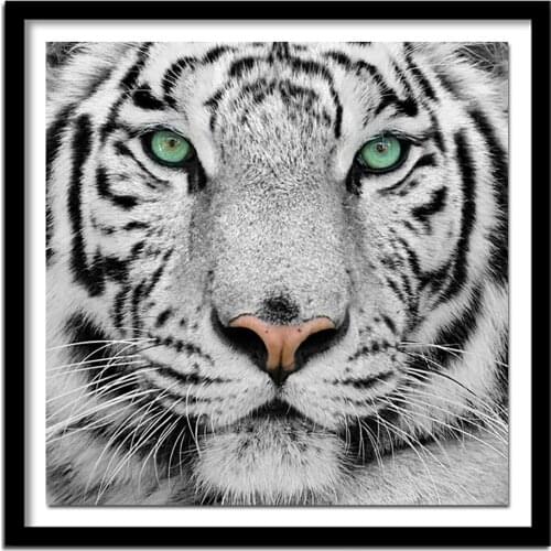 5D Full Diamond Embroidery Diamond White Tiger Head DIY Diamond Painting Cross Stitch Craft Home Decoration