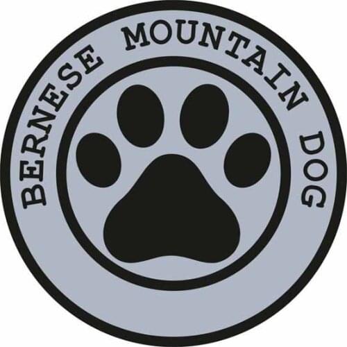 Personalized Bern car stickers, motorcycle round vinyl stickers, car supplies, scratch glue, raincoat, PVC decals