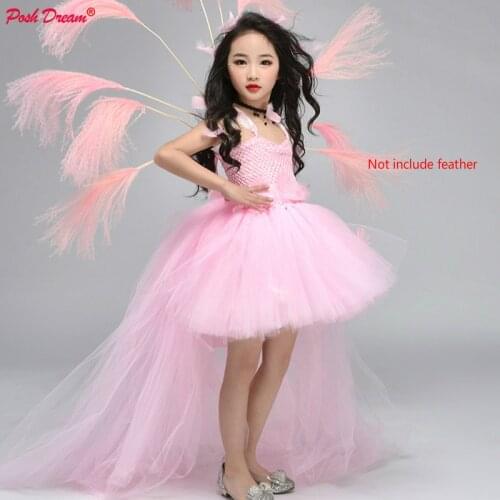 POSH DREAM Pink Girls Princess Evening Party Dresses with Train Tulle Light Pink Fairy Fashion Girls Birthday Wedding Tutu Dress