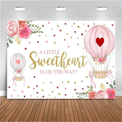 Valentine background Pink hot air balloon backdrop for photography sweetheart backgrounds Red Heart Flower backdrop for party